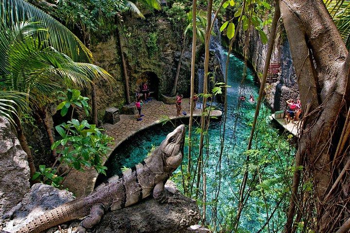 Visit Xcaret Plus, Night Live Show, Buffet & Transport from Tulum