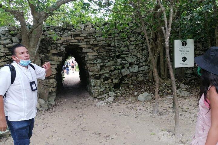 Explore Kuxtal, Tulum, Coba, 5th Avenue from Cancún! 5x1 Deluxe