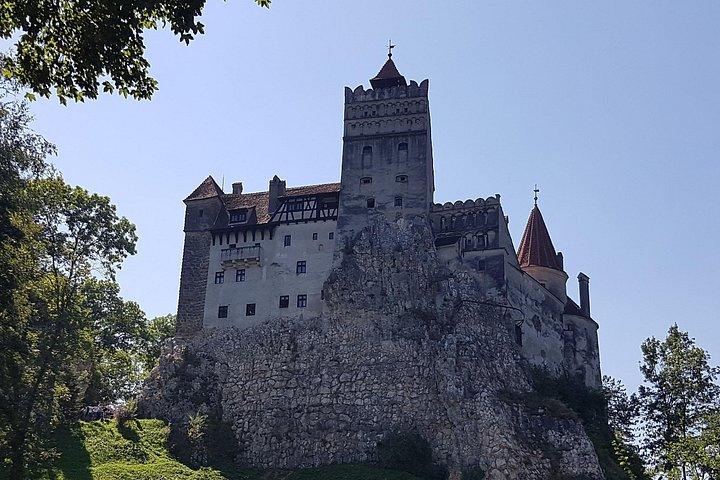 ベアーズ サンクチュアリ、ドラキュラ城、ブラショフ市 - ブカレストからの日帰り旅行