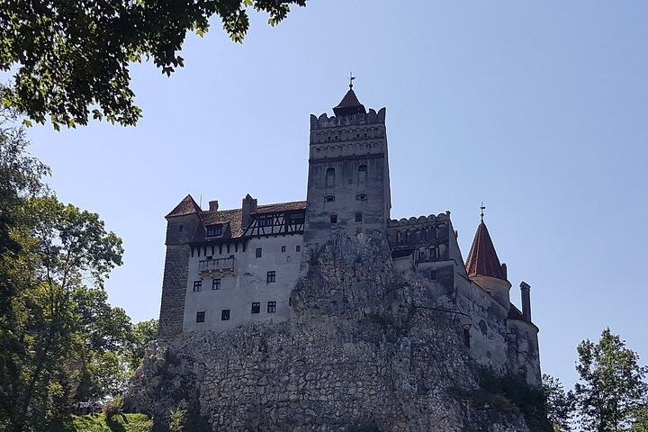 Executive Dracula Day Trip - Se Bran & Peles Castle, Brasov fra Bukarest