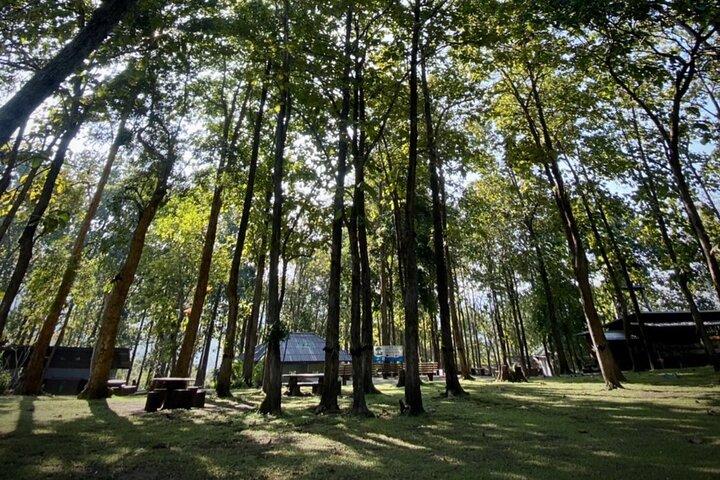 半日スティッキー滝(ブアトン滝)と地元の市場