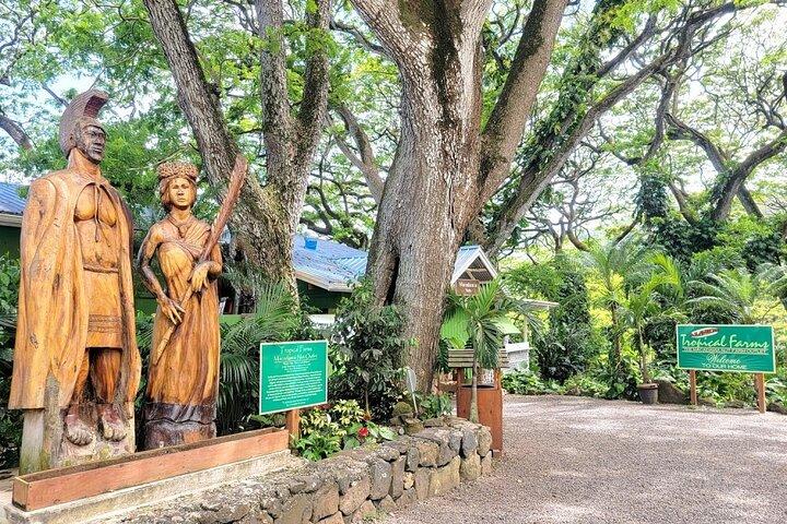 Oahu Island Sightseeing og Mad Combo Tour