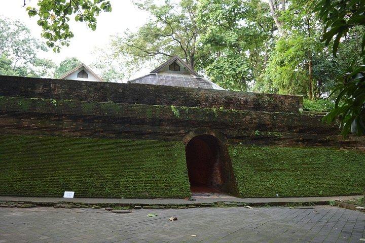 半日ツアー スアンドク寺院、ウモン寺院、ドイ ステープ寺院