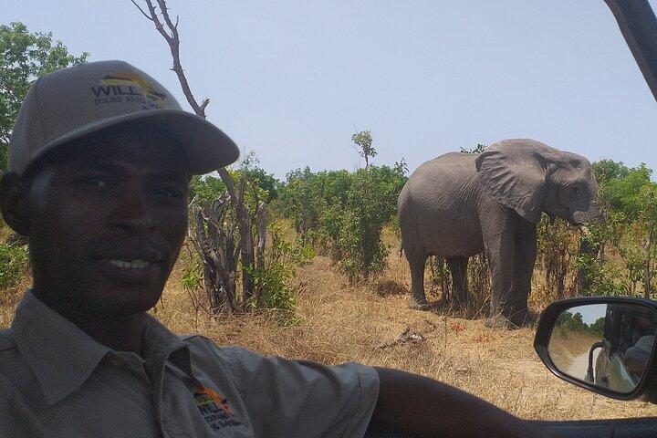 Hwange National Park Heldagstur
