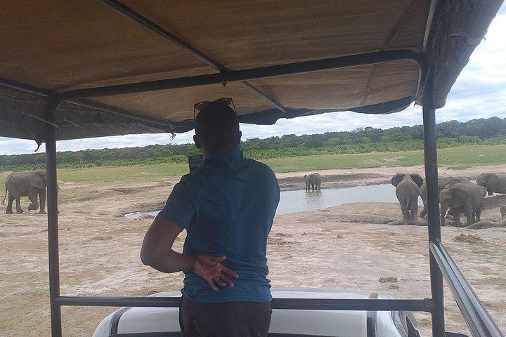 Hwange National Park Full Day Trip