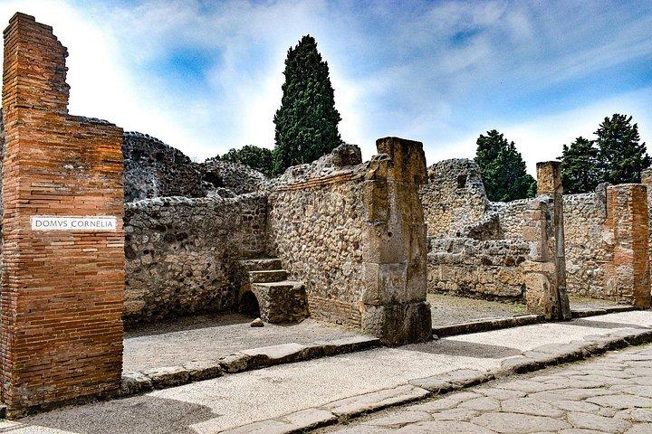 DISCOVERING POMPEII - VIP tour/Small group