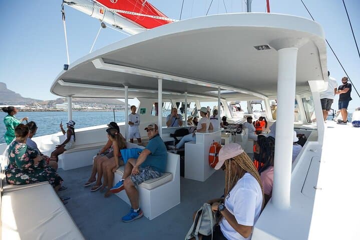1- Hour Catamaran Cruise Cape Town