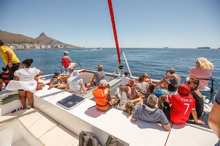 1- Hour Catamaran Cruise Cape Town