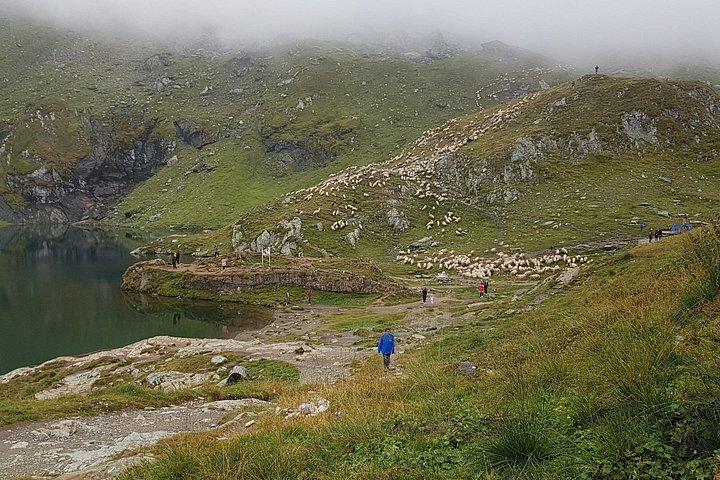 世界最高の道 - ブカレストからのトランスファガラサン日帰り旅行 - プライベート