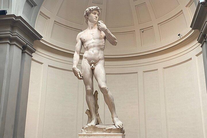 Priority Access to Michaelangelo's David Guided Tour