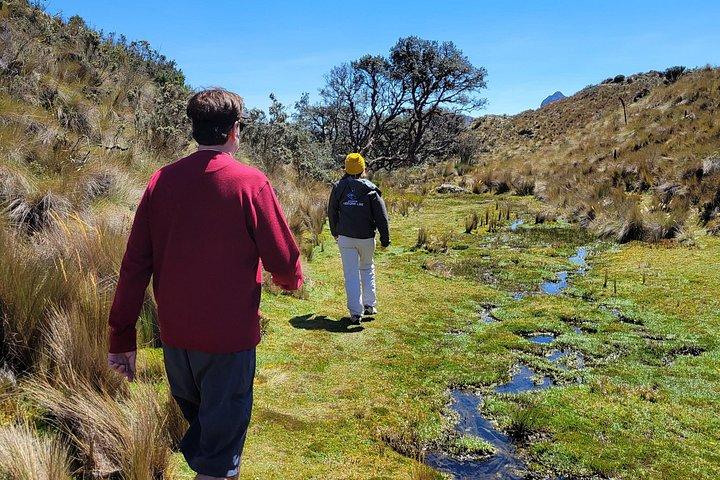 Cajas enthüllt: Eine halbtägige Flucht aus Cuenca