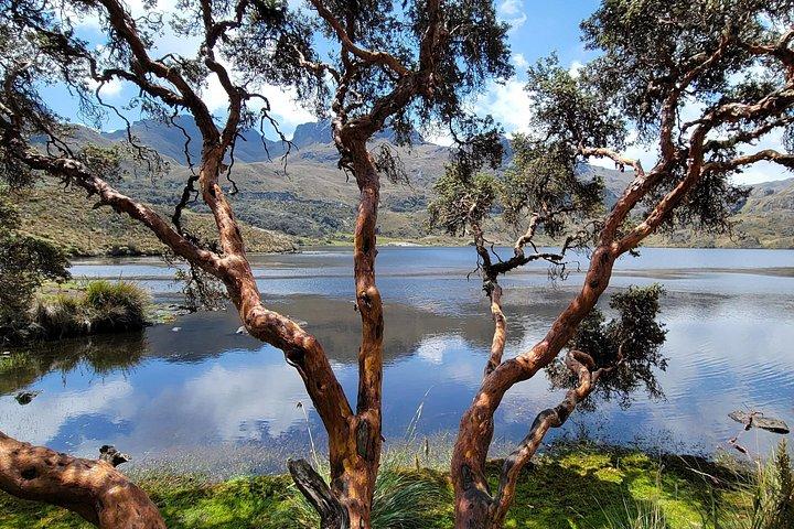 Cajas enthüllt: Eine halbtägige Flucht aus Cuenca