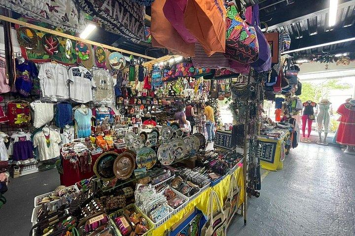 パナマ シティのプライベート エクスプレス文化旅行