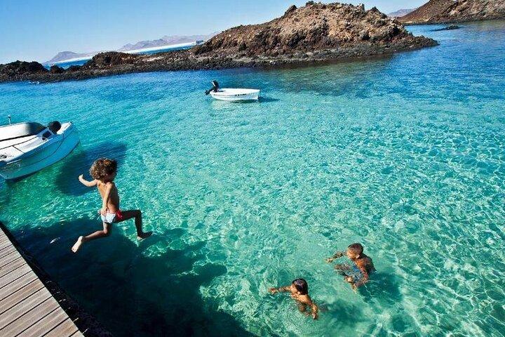 Delfinsafari til Lobos Island