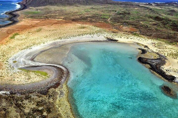 Delfinsafari til Lobos Island