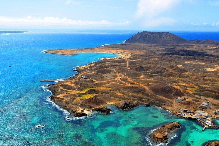 Delfinsafari til Lobos Island