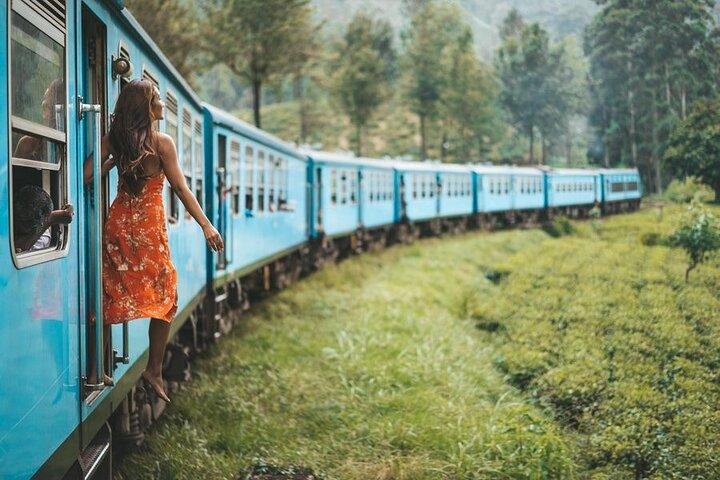 2-daagse tour door Udawalawe en Ella met schilderachtige treinrit door het land - All Inclusive