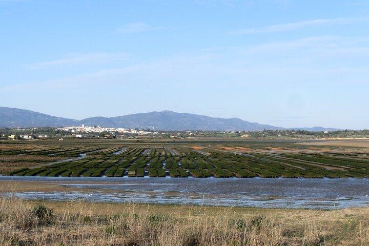 Full Day Tour Eastern Algarve - Private Tour