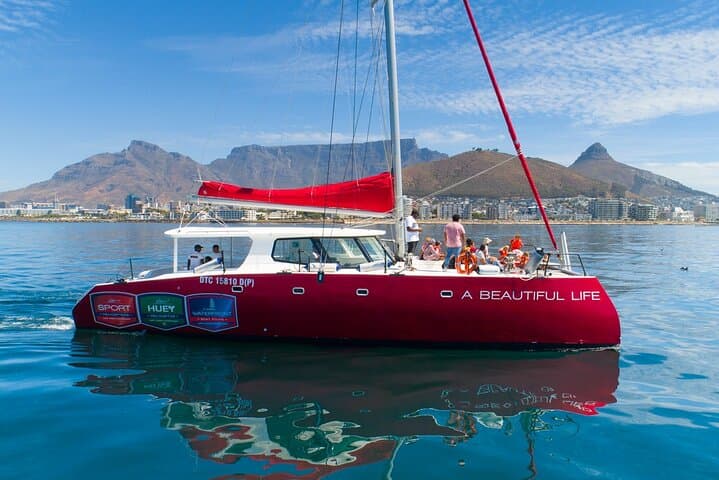1- Hour Catamaran Cruise Cape Town
