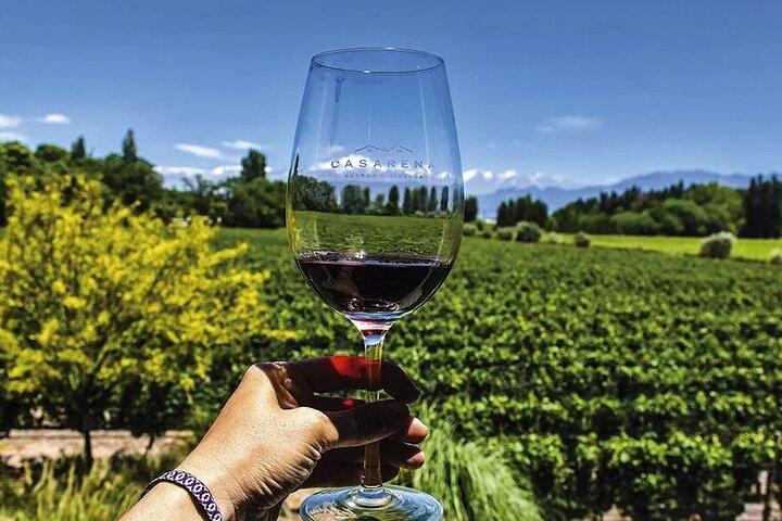 Luján de Cuyo Gourmet Weintour
