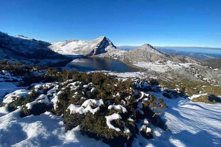 Visite privée d'Oviedo à Covadonga, lacs et villages de marins