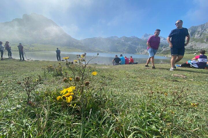 Visite privée d'Oviedo à Covadonga, lacs et villages de marins