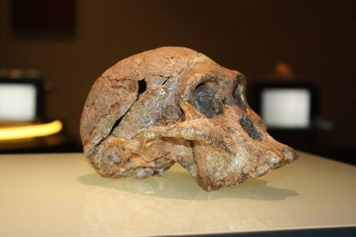 Tour dell'evoluzione dell'umanità