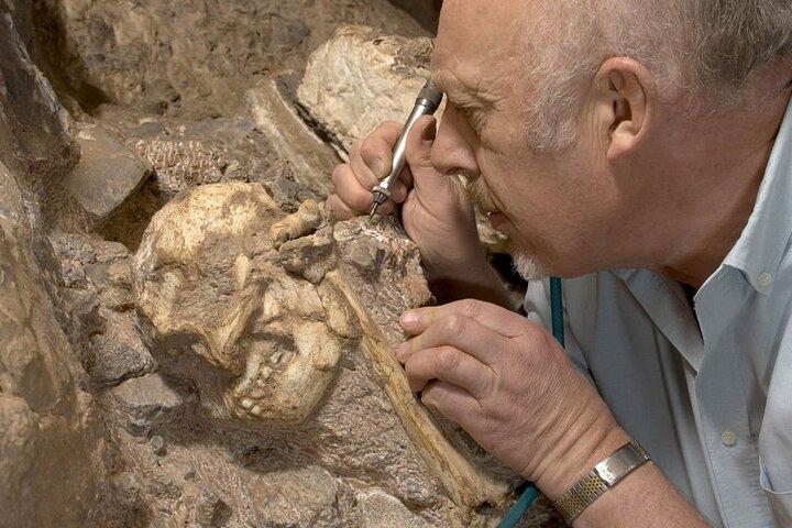 Tour dell'evoluzione dell'umanità