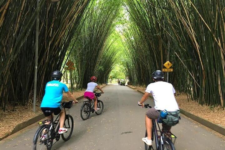 自転車ツアー: サンパウロの最もクールな都会の風景