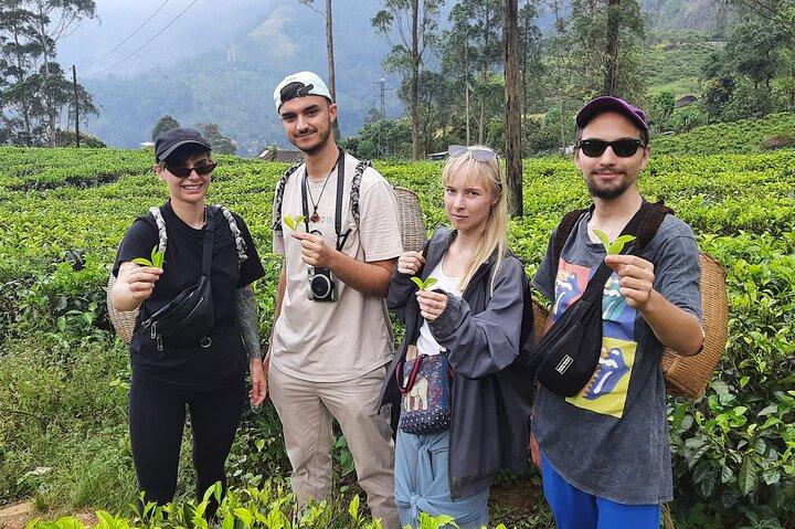 キャンディからNuwareeliya(リトルイングランド)への日帰りツアー
