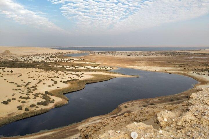 Tour a El Fayoum Safari nel deserto inclusa la Valle delle Balene