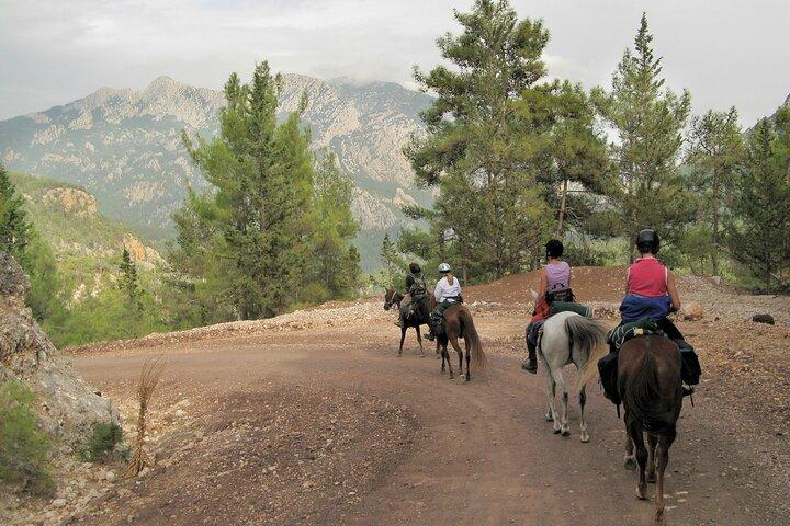 Tour a caballo en Bodrum con recogida en el hotel