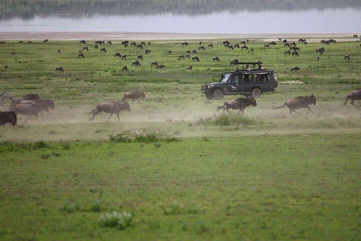 4-dagars Tanzania Camping Safari