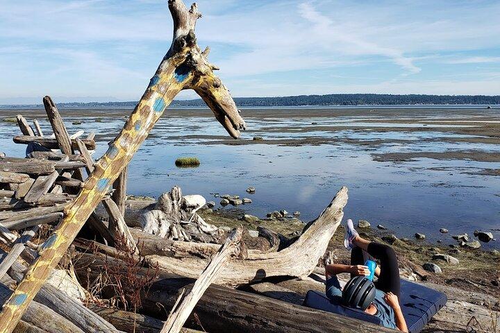 Mud Bay Park Cykeludlejning