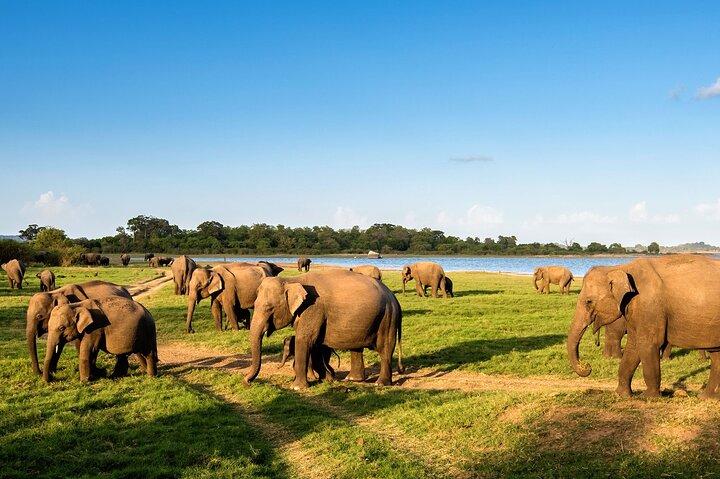 Privat flerdagars utomhustur i Sri Lanka