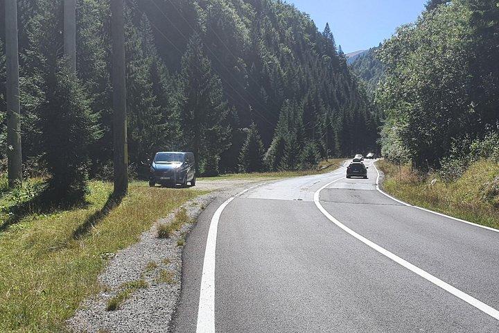 ブカレストからのクマとドラキュラのプライベート全日ツアー