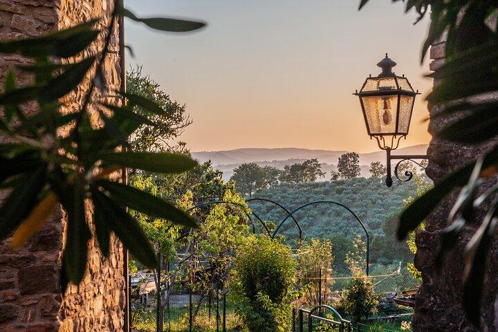 Umbrien Wein- und Olivenöltour mit leichtem Mittagessen