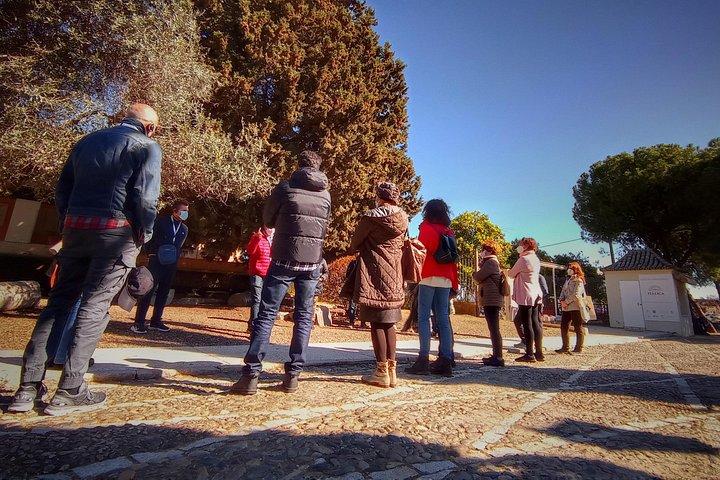 イタリカ2時間プライベートガイドツアー