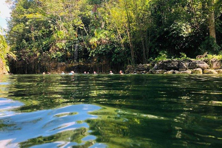 Unforgettable Xenotes Tour: Discover and Explore This Hidden Gem!