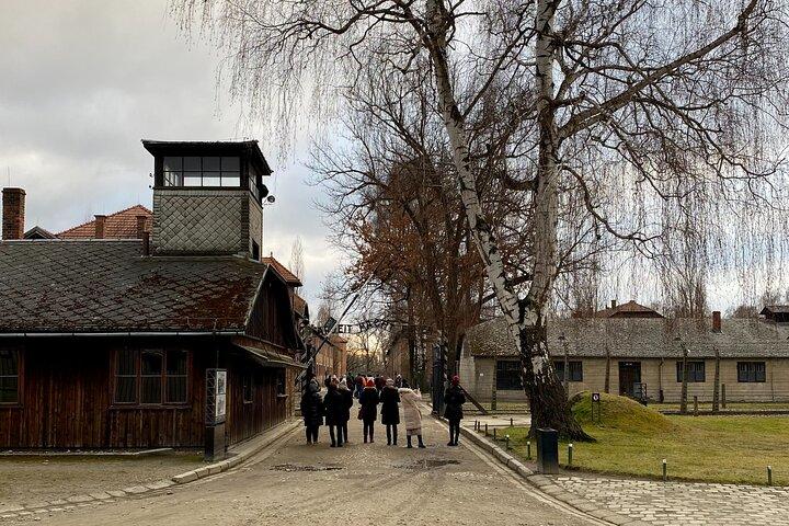 Krakow: Auschwitz-Birkenau guidad tur och hotellhämtning