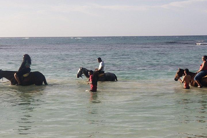 VIP Private Dunn's River Falls Ocho Rios Private Experience
