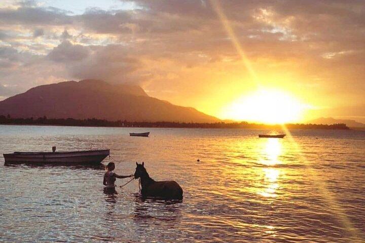 Sunset Beach Horseback Riding