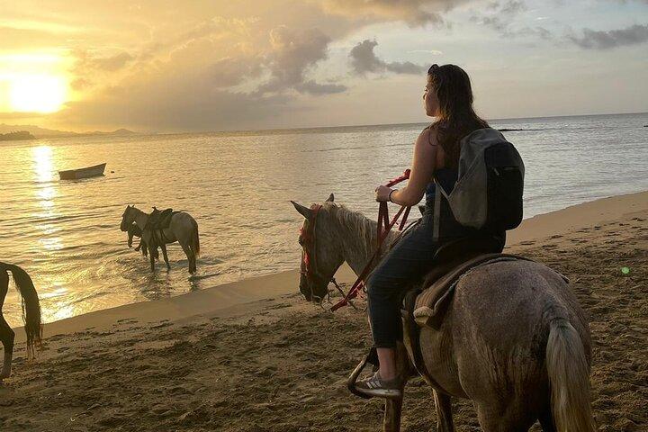Sunset Beach Horseback Riding