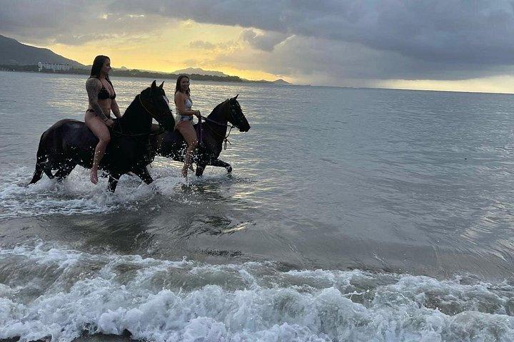 Sunset Beach Horseback Riding