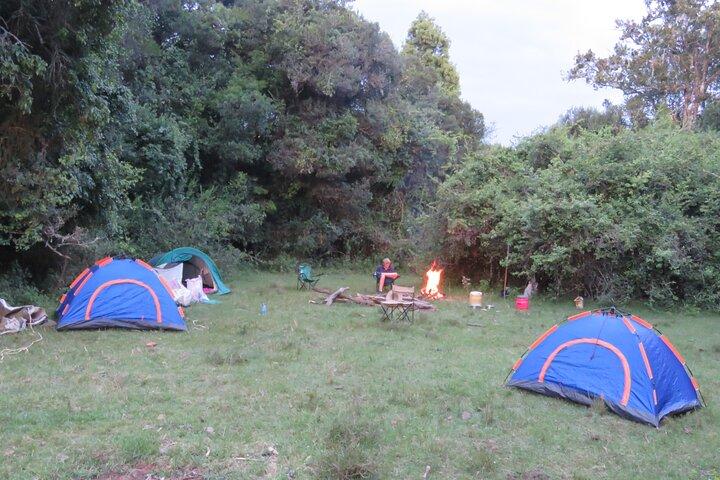 6 dage og 5 nætter med camping og gåture i Masai Mara Loita-skoven