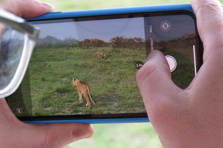 6 dage og 5 nætter med camping og gåture i Masai Mara Loita-skoven