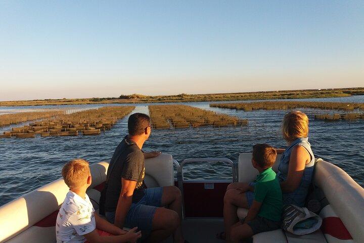 Passeio de catamarã pela natureza saindo de Faro