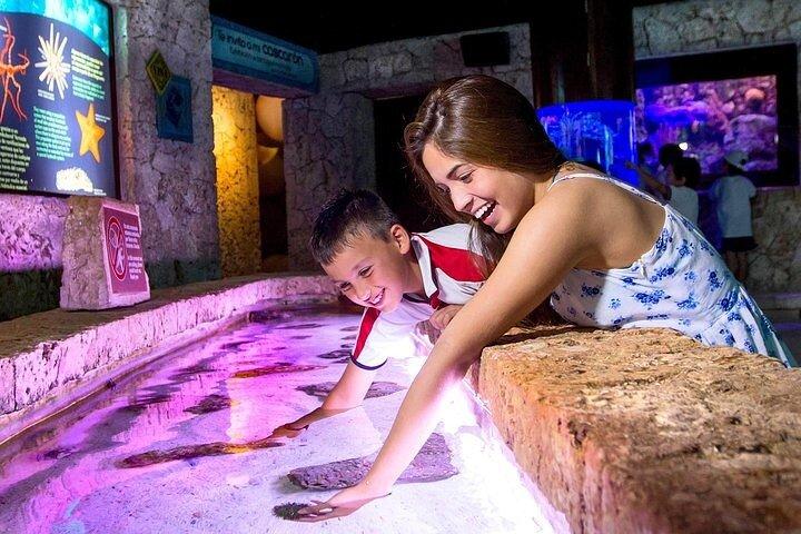 Plus Xcaret-Ticket in Cancun