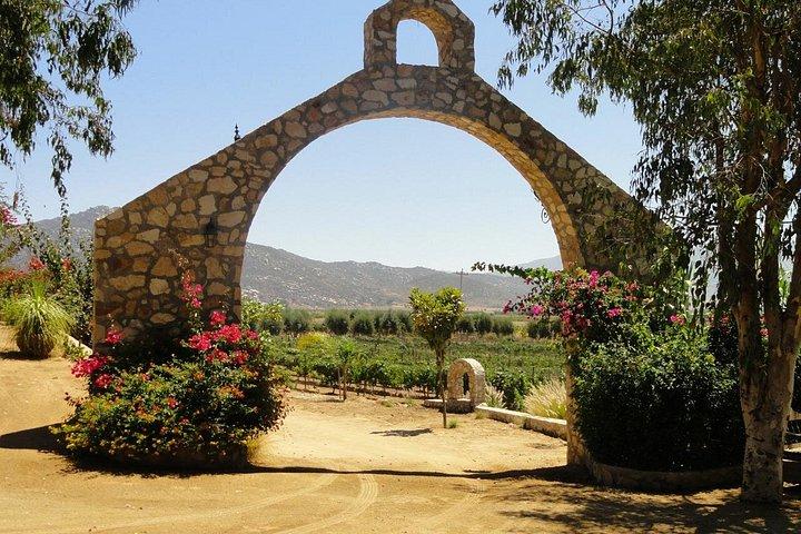 Valle de Guadalupe Private Driver and Vehicle 10 hours