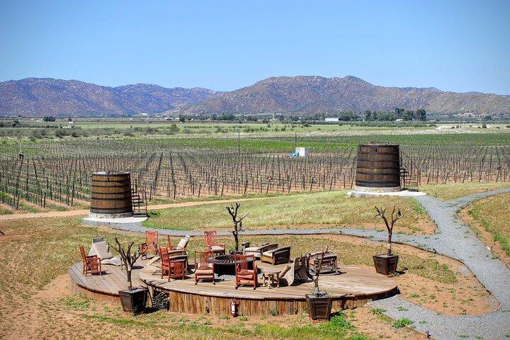 Autista privato e veicolo Valle de Guadalupe 10 ore